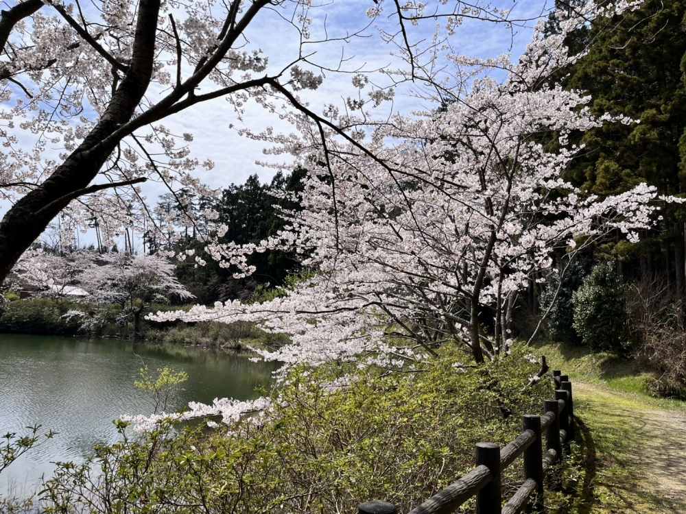 収集運搬エリア